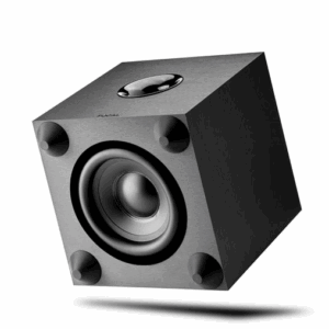 Focal Cub Evo